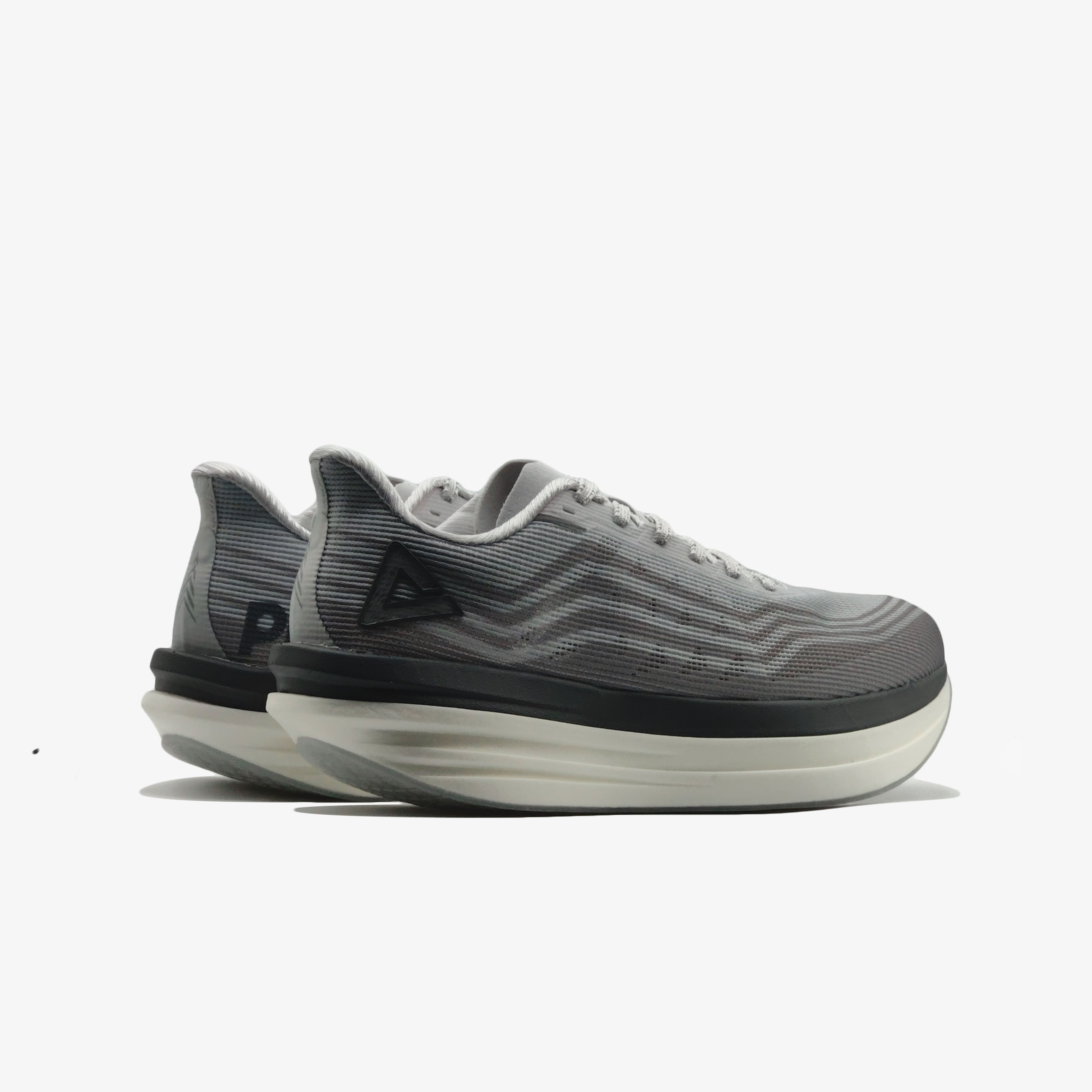 Peak Taichi Sport Shoes Grey