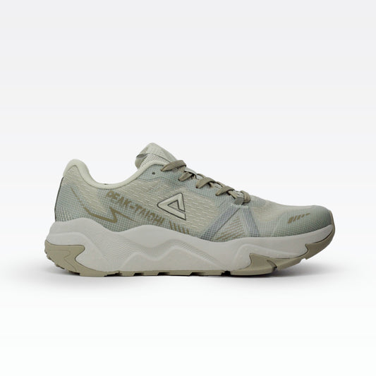 Peak sport shoes silver green